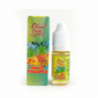 SWEET PINEAPPLE| CLOUD VAPE PREMIUM E-LIQUID 10 ML