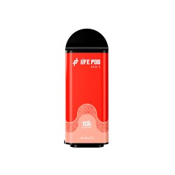 WATERMELON PEACH ICE + REFILL LIFE POD + 10K PUFFS